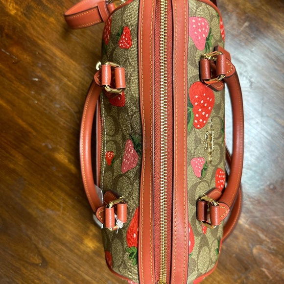 Coach Brown and Red Strawberry Print Women's Bag (SIG STRWBRY RWN) - Picture 4 of 6